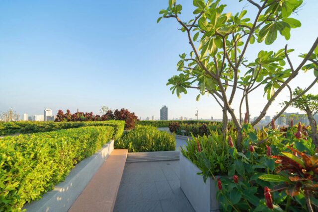NuoBello Hospitality Outsourcing - Sky Garden on Private Rooftop of Condominium