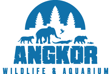 Nuobello Client - Angkor Wildlife & Aquarium Logo